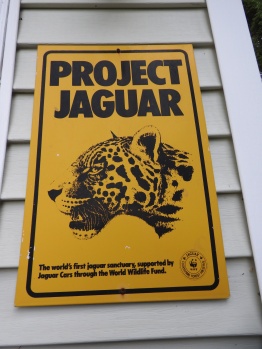Project Jaguar, The worlds first jaguar sanctuary support by Jaguar Cats throught the world wildlife Fund