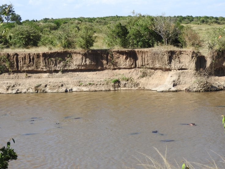 Mara River where wildebeest cross